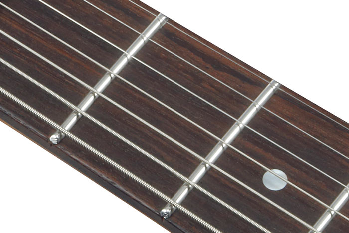 Rosewood fretboard w/Jumbo Stainless Steel frets
