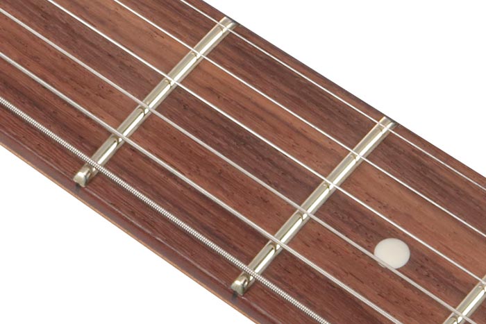 Rosewood fretboard w/ Ivory dot