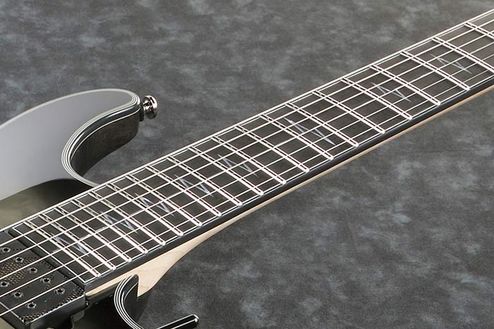 Ebony fretboard w/Beaten Path inlay