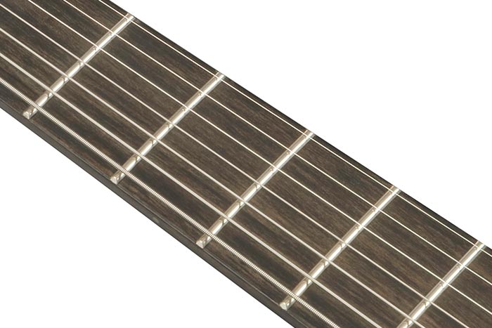 Ebony fretboard