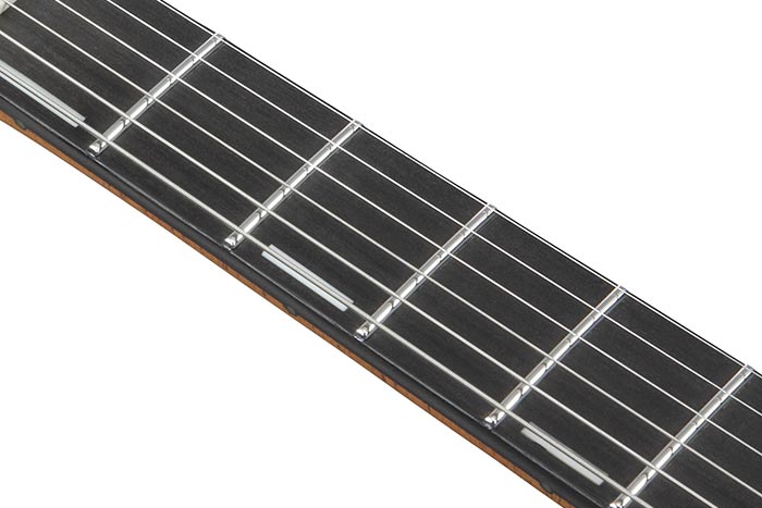 Ebony fretboard with Stainless Frets