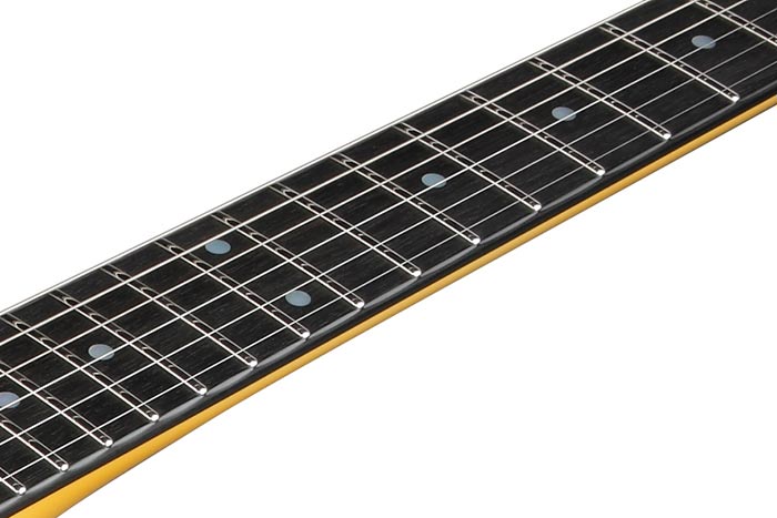 Ebony fretboard