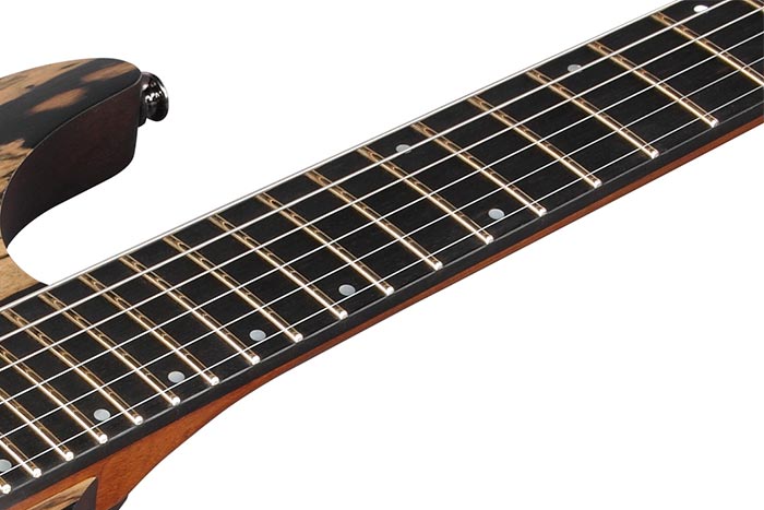 Ebony fretboard