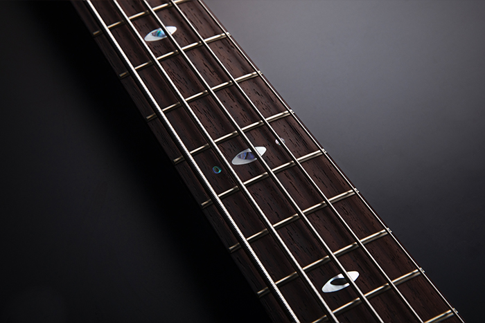 Rosewood fretboard