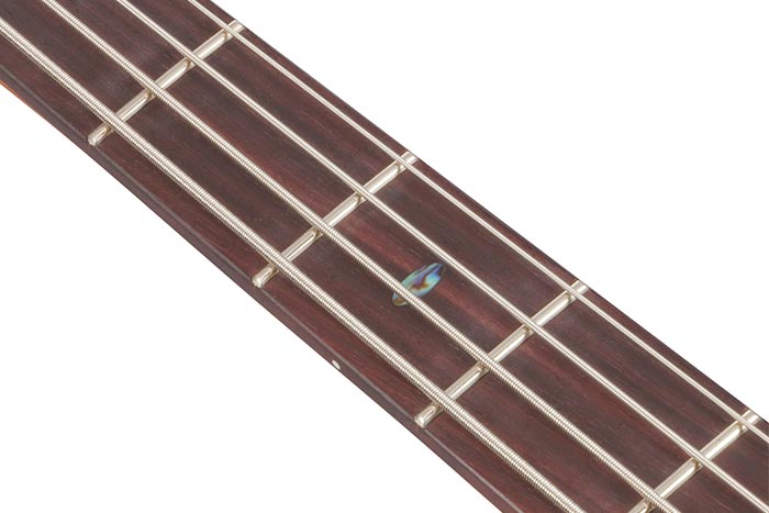 Rosewood fretboard