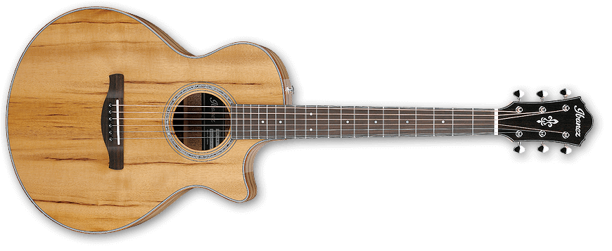 AE300MWJR-NT