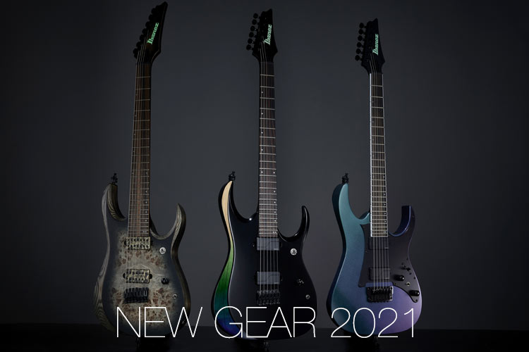 Acoustic Guitars Products Ibanez Guitars