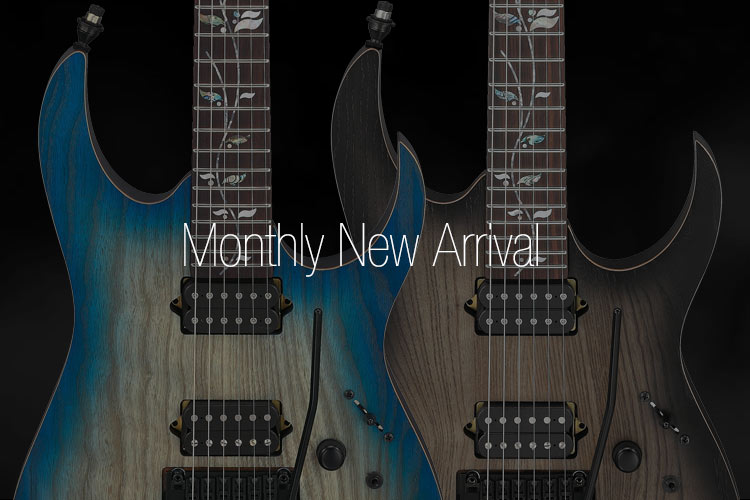 ELECTRIC GUITARS | PRODUCTS | Ibanez guitars