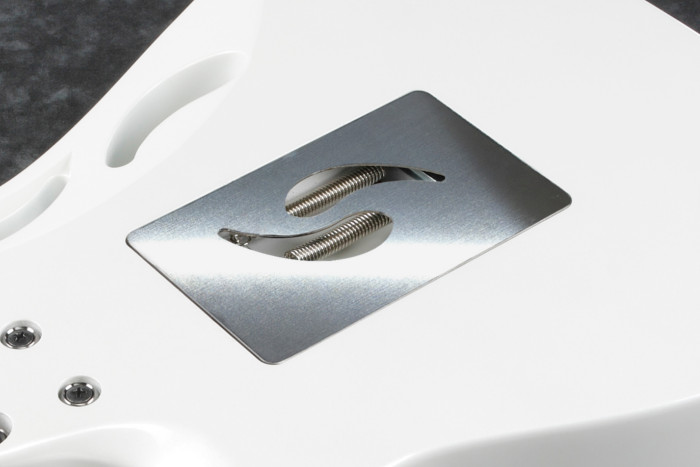 Magnetic Tremolo Cavity Plate