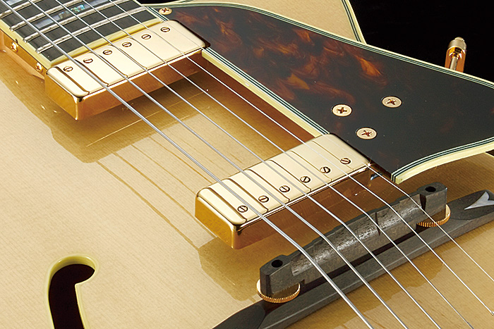 GB10 GB HOLLOW BODIES PRODUCTS Ibanez Guitars