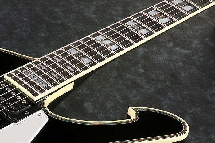 Ebony Fretboard