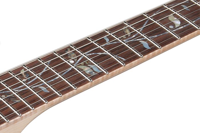 Rosewood fretboard