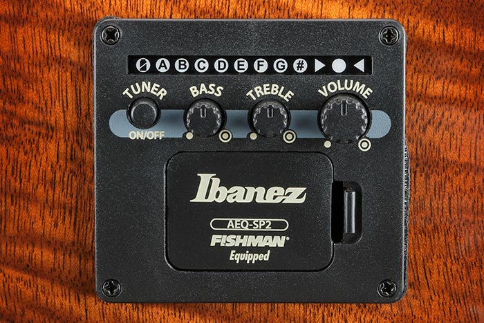 Ibanez AEQ-SP2 preamp w/Onboard tuner