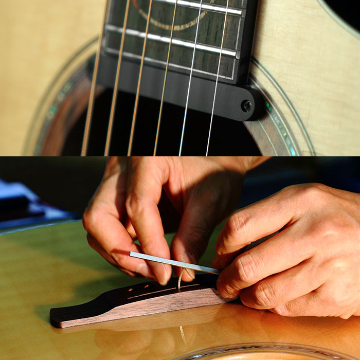 Dual Pickup system with AP11 magnetic pickup and T-bar undersaddle pickup
