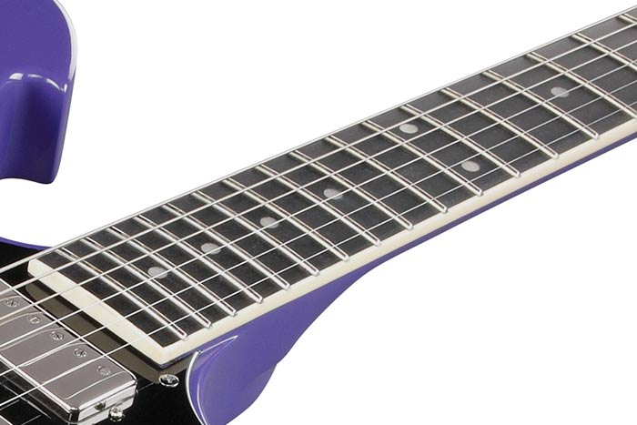 Ebony fretboard