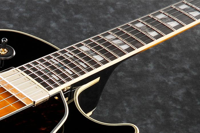 Ebony fretboard