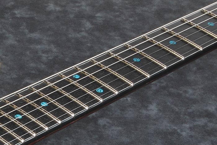 Ebony fretboard