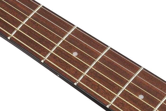 Nandu Wood fretboard