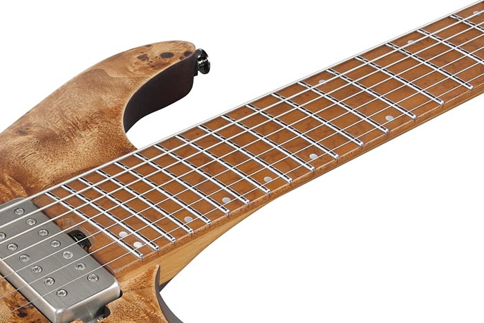 QX527PB | Q | ELECTRIC GUITARS | PRODUCTS | Ibanez guitars
