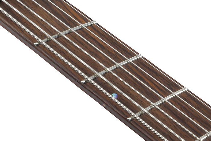 Rosewood fretboard