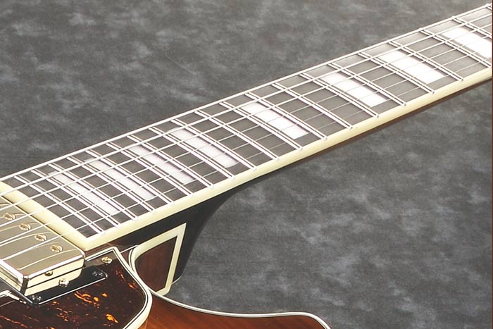 Macassar Ebony fretboard