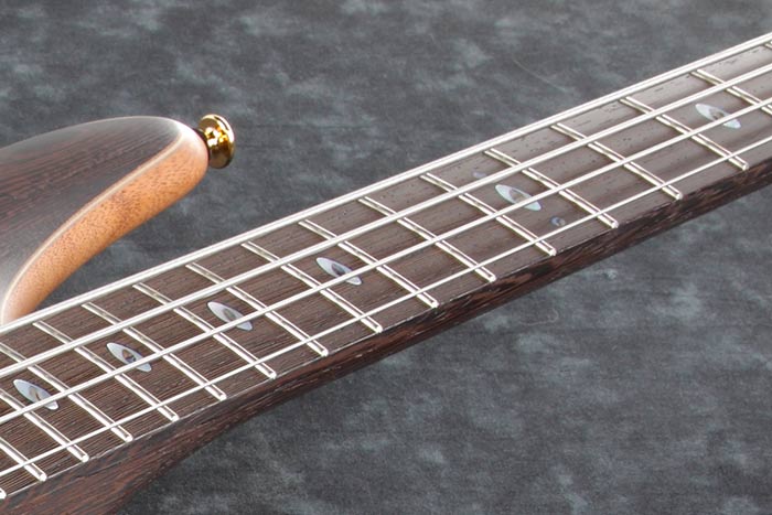 Wenge fretboard