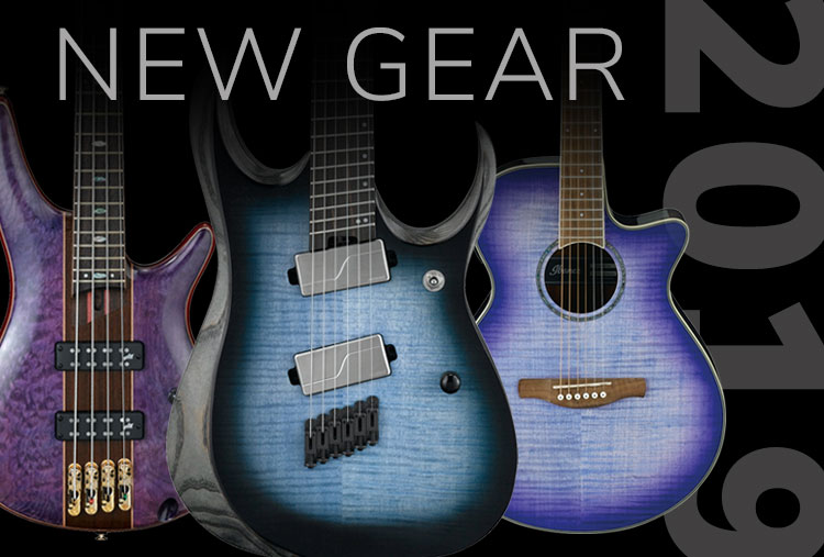 Acoustic Guitars Products Ibanez Guitars