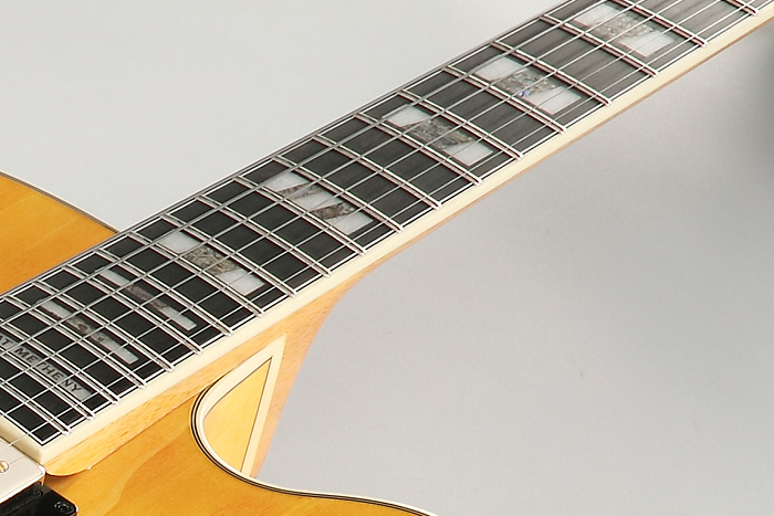 Ebony Fretboard w/ Artstar Fret Edge Treatment Ebony Fretboard w/ Artstar Fret Edge Treatment