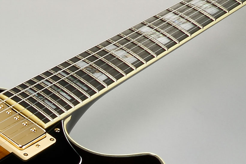 Ebony Fretboard