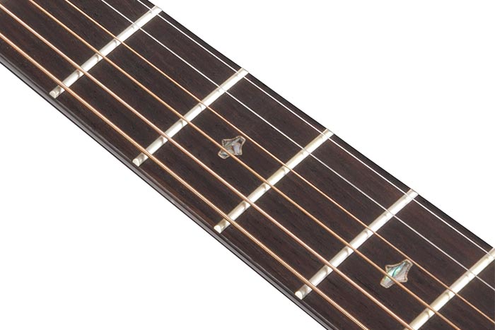 Rosewood fretboard