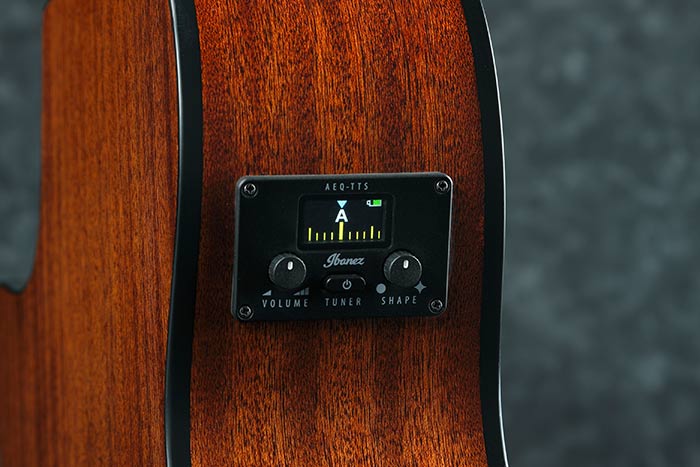 AEQ-TTS preamp w/Onboard Tuner cut