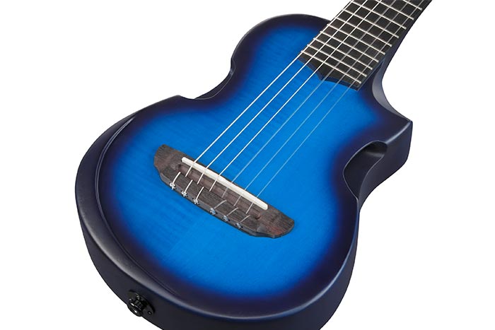 Chambered body