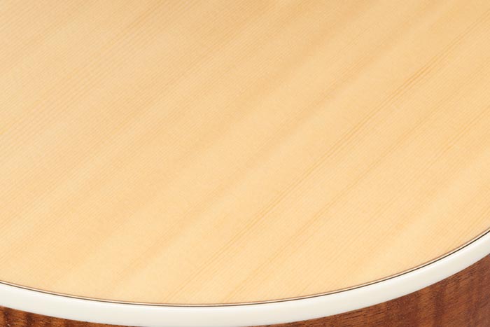 Solid Sitka Spruce top