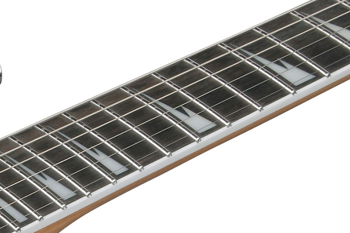 Ebony fretboard