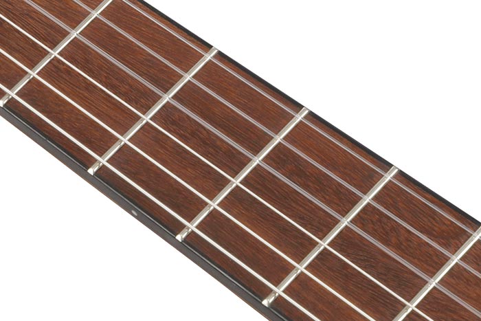 Nandu Wood fretboard