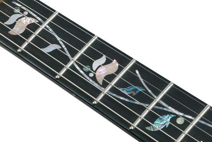 Ebony fretboard
