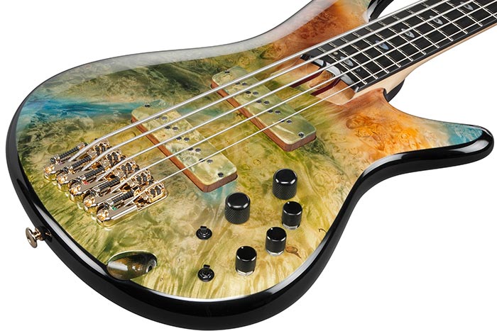 Maple Burl top / Honduras Mahogany body