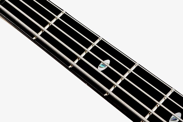 Ebony fretboard
