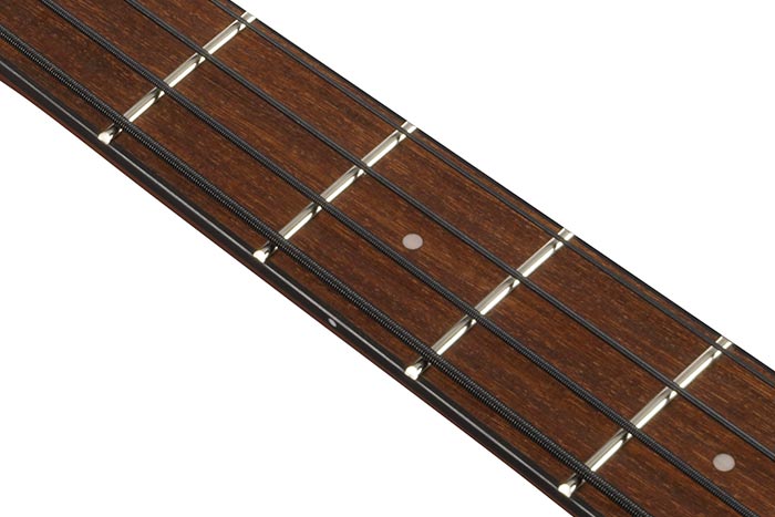 Nandu Wood fretboard