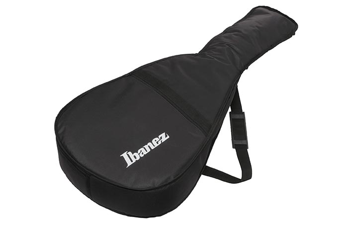 Gig bag included
