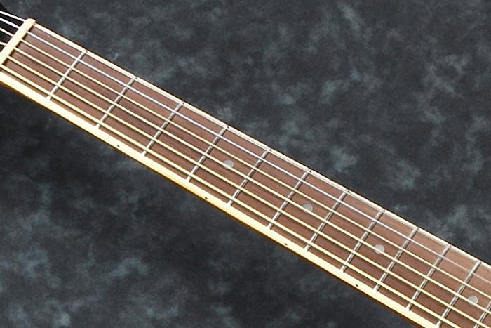 Nandu Wood fretboard