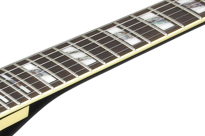 Ebony fretboard