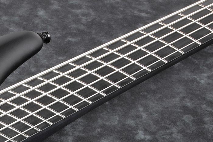 Ebonol fretboard