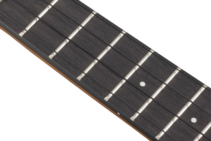 Purpleheart fretboard