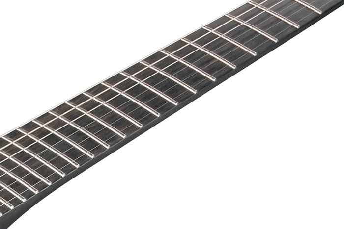 Ebony fretboard