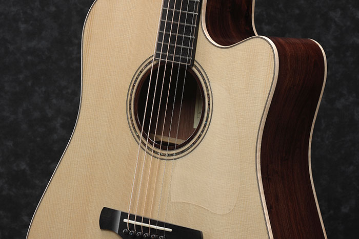 https://www.ibanez.com/usa/products/detail/news_file/file/fp_fs_dreadnought.jpg