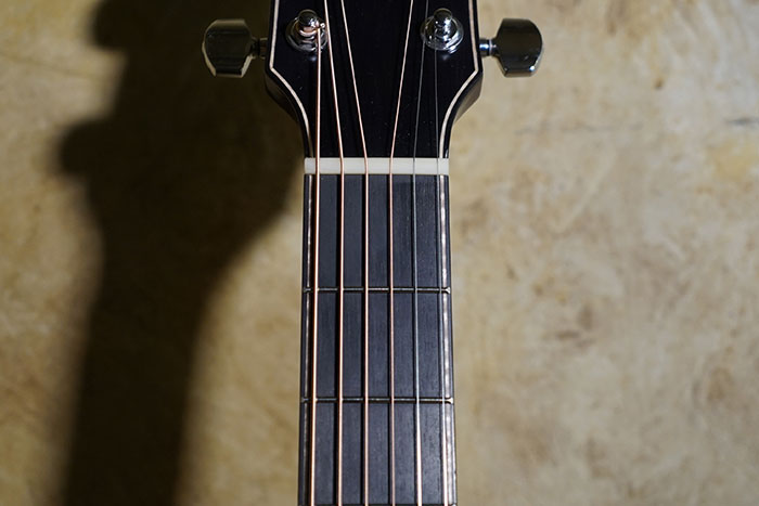 https://www.ibanez.com/usa/products/detail/news_file/file/fp_fs_fretboard.jpg