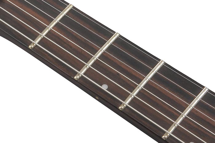 S PRODUCTS Ibanez guitars